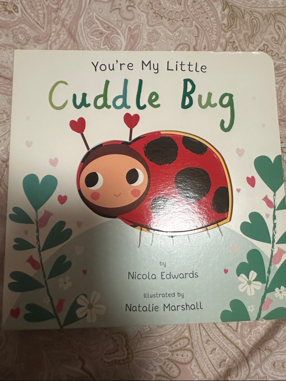 You're My Little Cuddle Bug Board Book - Red & Green